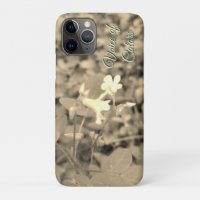 VOIX DE LA NATURE CADEAU