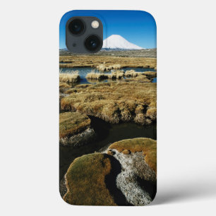 iPhone 13 Case Volcan de Payachalas