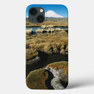 Coque Case-Mate iPhone Volcan de Payachalas