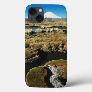 iPhone 13 Case Volcan de Payachalas