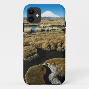Etui iPhone Case-Mate Volcans Payachalas