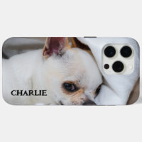Votre chiot chien animal de compagnie photo person