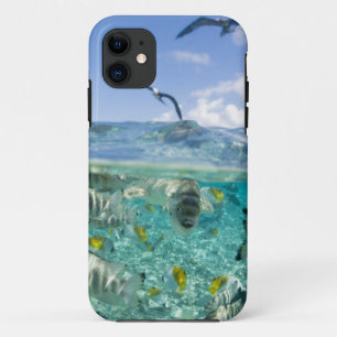 Etui iPhone Case-Mate voyage safari dans un lagon avec des raies pastena