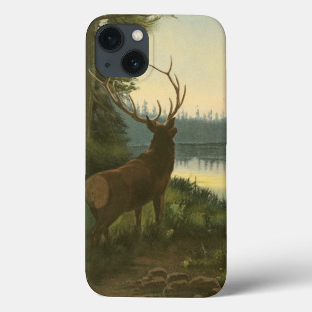 Coques Case-Mate iPhone Vue arrière du lac Elk Vue sur un lac (Verso)