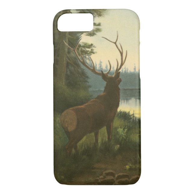 Coques Case-Mate iPhone Vue arrière du lac Elk Vue sur un lac (Dos)