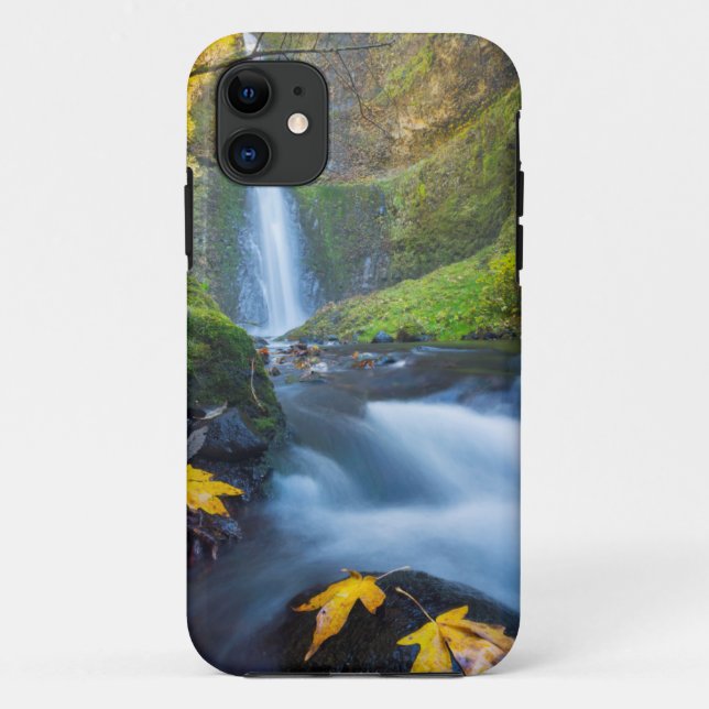 Coques Case-Mate iPhone Vue panoramique verticale de Tunnel Falls (Dos)