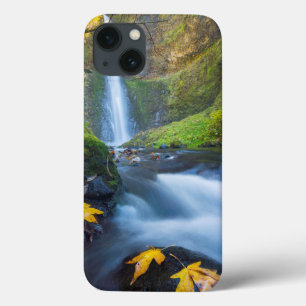 Etui iPhone Case-Mate Vue panoramique verticale des chutes du tunnel