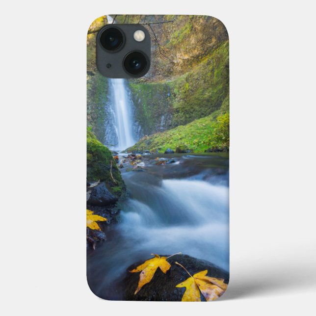 Coques Case-Mate iPhone Vue panoramique verticale des chutes du tunnel (Verso)