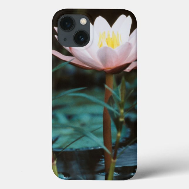 Coques Case-Mate iPhone Vue rapprochée de nénuphar à Inle Lake (Verso)