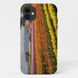 Coque iPhone 11 WA, vallée de Skagit, champs de tulipes en fleurs,