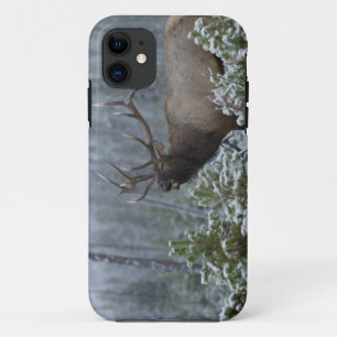 Etui iPhone Case-Mate Wapiti mâle dans la neige appelant, bramant, Yello