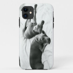 Coque iPhone 11 Weimaraners paresseux