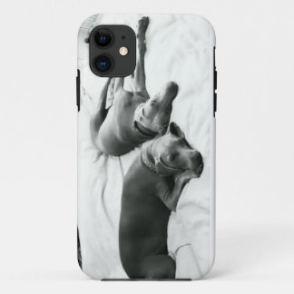 Coque iPhone 11 Weimaraners paresseux