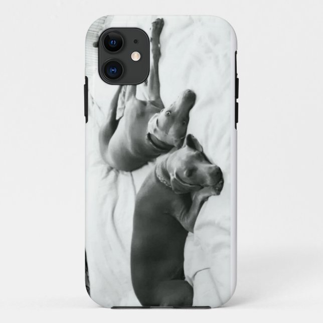 Coques Case-Mate iPhone Weimaraners paresseux (Dos)