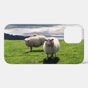 Case-Mate iPhone CASE WELSH MOUNTAIN SHEEP