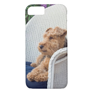 Coque iPhone 8/7 Welsh Terrier