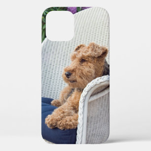 Case-Mate iPhone Case Welsh Terrier en fauteuil Wicker