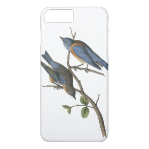 Coque Case-Mate iPhone Western Bluebird par Audubon