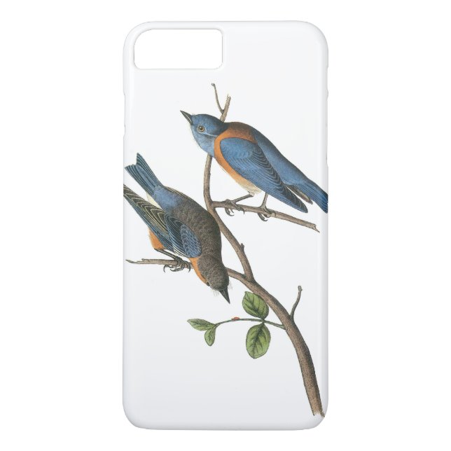 Coques Case-Mate iPhone Western Bluebird par Audubon (Dos)