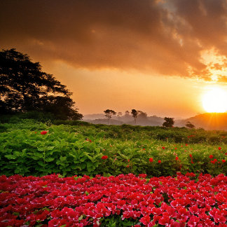 Coque Case-Mate iPhone Whispers of Enchantment : Le royaume magique Télép