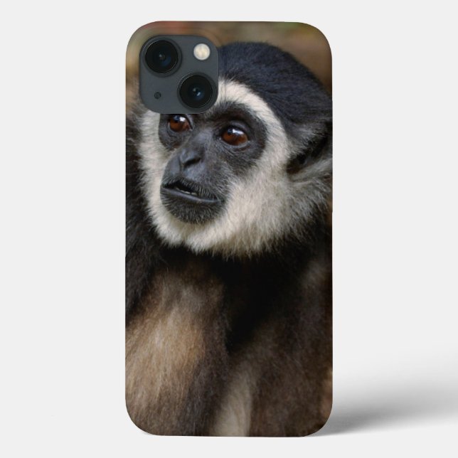 Coques Case-Mate iPhone White-Handed Gibbon (Hylobates Lar), Monkeyland (Verso)