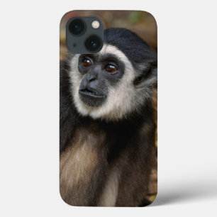 Coque Case-Mate iPhone White-Handed Gibbon (Hylobates Lar), Monkeyland