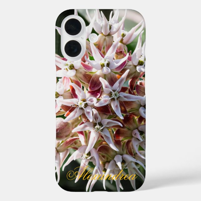 Coques Case-Mate iPhone White Showy Milkweed - Nature Photography (Verso)