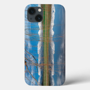 Coque Case-Mate iPhone Winter Reflections. Ceres, Boland District