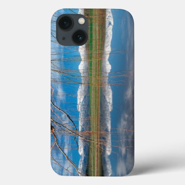 Coques Case-Mate iPhone Winter Reflections. Ceres, Boland District (Verso)