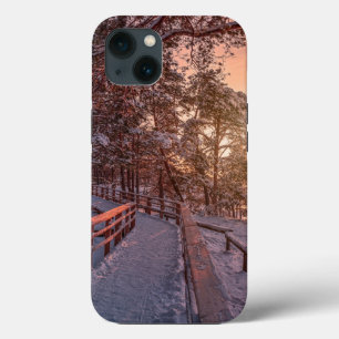 Case-Mate iPhone Case Winter sunset in pine forest near sea
