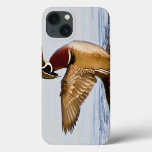 Etui iPhone 13 Wood Duck mal flapping wings in wetland