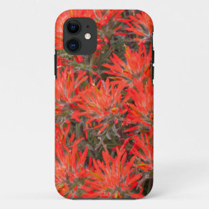 Coques Pour iPhone Wyoming, comté de Lincoln, Desert Paintbrush