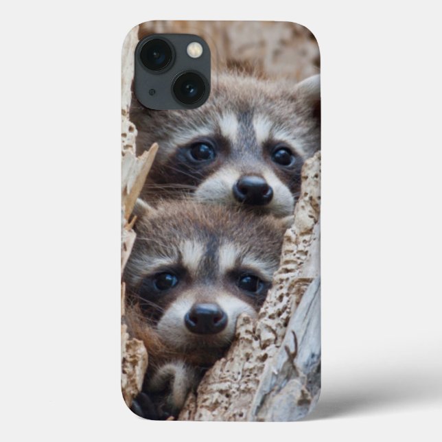 Coques Case-Mate iPhone Wyoming, comté de Lincoln, Raton laveur (Verso)