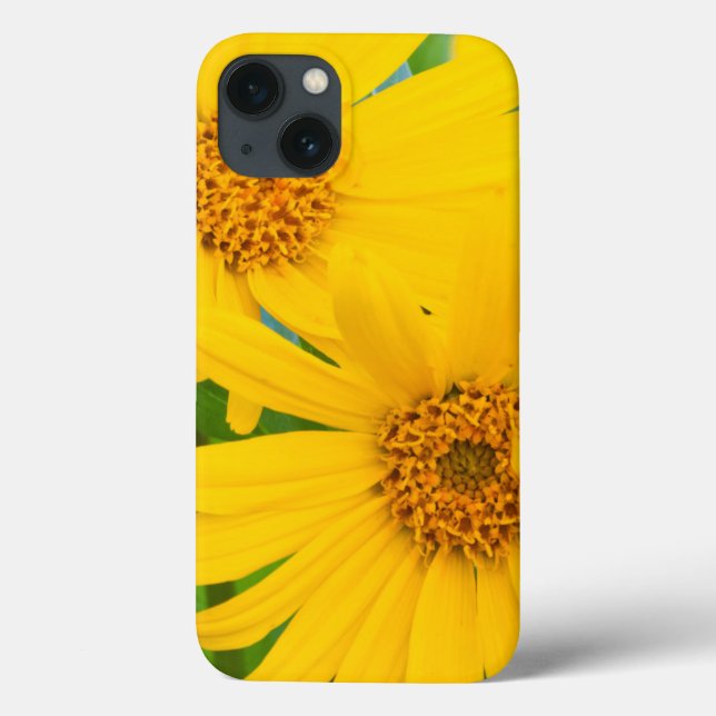 Coques Case-Mate iPhone Wyoming, comté de Sublette, Gros plan de deux flèc (Verso)