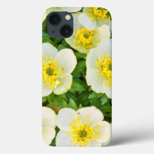 Etui iPhone 13 Wyoming, Comté de Sublette, Gros plan d'un groupe
