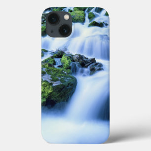 Etui iPhone 13 Wyoming. États-Unis. Source périodique pendant la