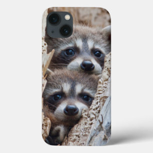Coque Case-Mate iPhone Wyoming, Lincoln County, Raccoon
