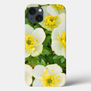 Etui iPhone Case-Mate Wyoming, Sublette County, Close-up of a group