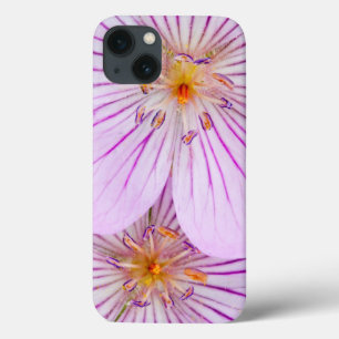 iPhone 13 Case Wyoming, Sublette County, Close-up of two Sticky