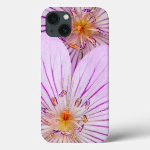 iPhone 13 Case Wyoming, Sublette County, Close-up of two Sticky