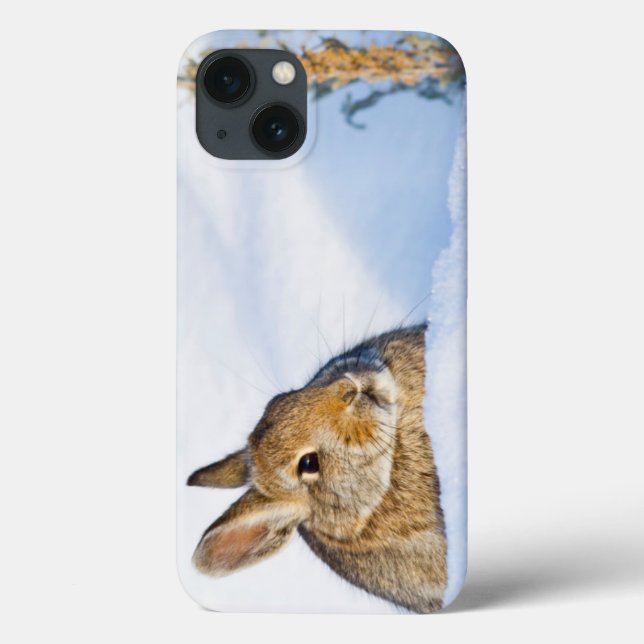 Coques Case-Mate iPhone Wyoming, Sublette County, Nuttall's Cottontail (Verso)