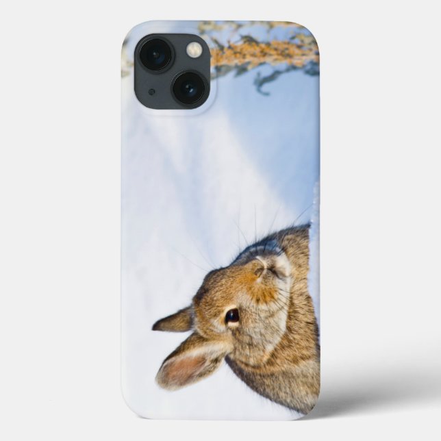 Coques Case-Mate iPhone Wyoming, Sublette County, Nuttall's Cottontail 1 (Verso)
