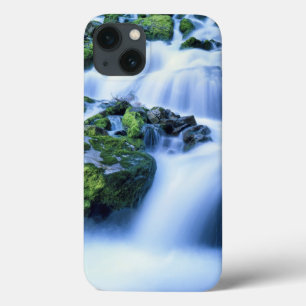 Etui iPhone 13 Wyoming. USA. Printemps périodique pendant la pé