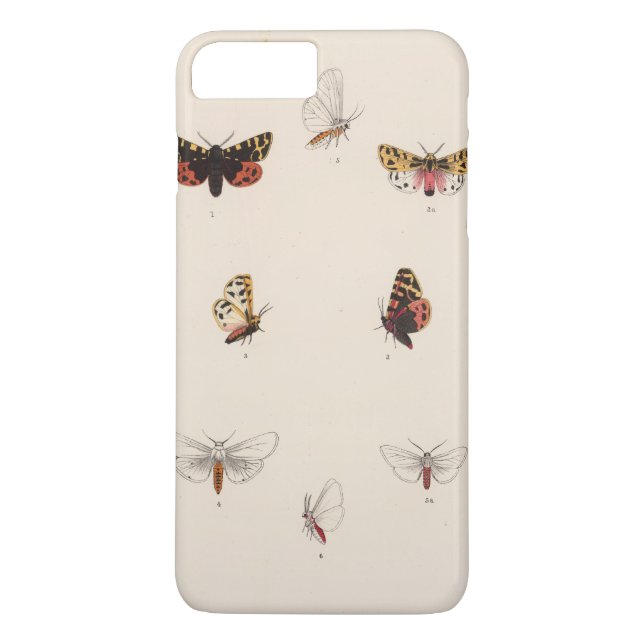 Coques Case-Mate iPhone XL Arctia, Leucarctia, Euchaetes (Dos)