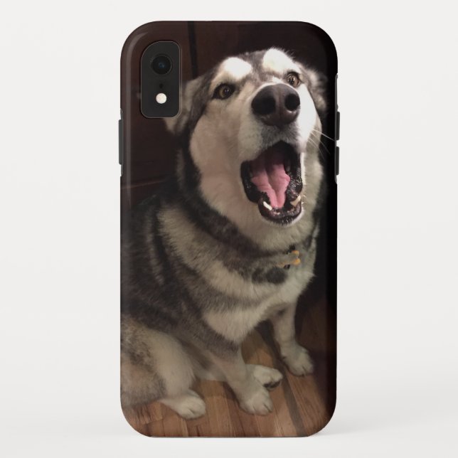 Coques Case-Mate iPhone Yawning Alaskan Malamute photo (Dos)