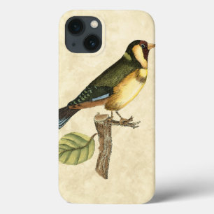 iPhone 13 Coque Yellow and Green Bird Perched on a Little Branch