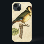 iPhone 13 Coque Yellow and Green Bird Perched on a Little Branch<br><div class="desc">This engraved-inspired print displays sharp,  vivid images with a high degree of color accuracy. The neutral background helps emphasize the colors of the bird. Customize your favorite Zazzle product using this beautiful image.</div>