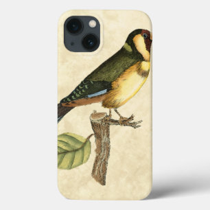 iPhone 13 Coque Yellow and Green Bird Perched on a Little Branch