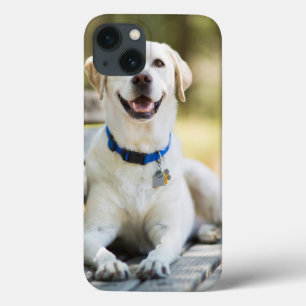 Case-Mate iPhone Case Yellow Labrador Lays