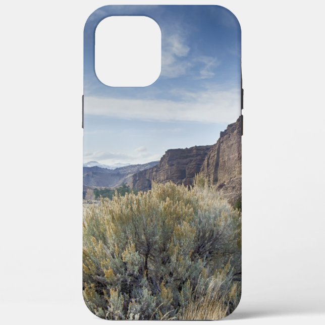 Coques Case-Mate iPhone Yellowstone (Verso)